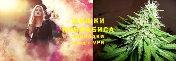 гидра Аркадак
