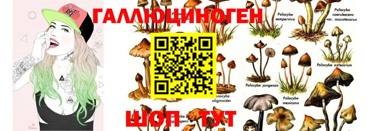 Псилоцибиновые грибы MAGIC MUSHROOMS Темрюк