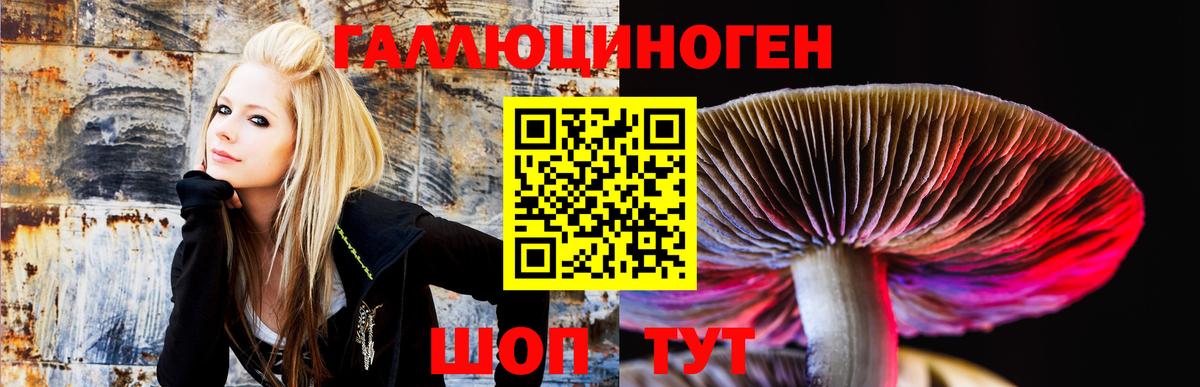 Темрюк  Галлюциногенные грибы ЛСД  что такое   Вход с VPN 